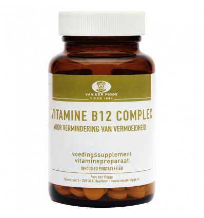 Geruïneerd contant geld Zwitsers Van der Pigge Vitamine B12 complex 90 zuigtabletten kopen?