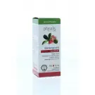 Physalis Wintergreen 10 ml