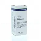 VSM Berberis vulgaris LM30 4 gram globuli