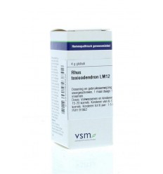 VSM Rhus toxicodendron LM12 4 gram globuli