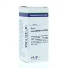 VSM Rhus toxicodendron LM18 4 gram globuli