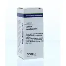 VSM Conium maculatum C6 4 gram globuli