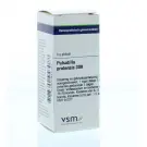 VSM Pulsatilla pratensis 30K 4 gram globuli