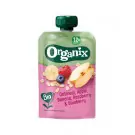 Organix Oatmeal apple banana raspberry blueberry 12+ 100 gram