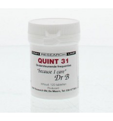 DNH Quint 31 120 tabletten