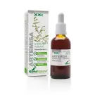 Soria Artemisia vulgaris XXI extract 50 ml
