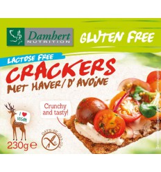 Damhert Crackers haver 230 gram