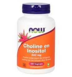NOW Choline en inositol 500 mg 100 vcaps