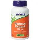 NOW Olijfblad Extract 500 mg 60 vcaps