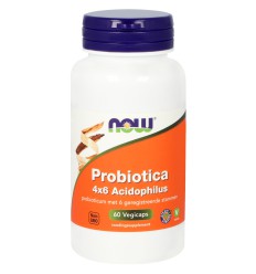 NOW Probiotica 4 x 6 acidophilus 60 vcaps