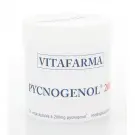 Vitafarma Pycnogenol 200 90 vcaps