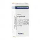 VSM Sulphur 10MK 4 gram globuli