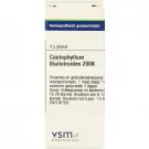 VSM Caulophyllum thalictroides 200K 4 gram globuli