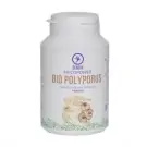 Mycopower Polyporus 100 capsules