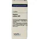 VSM Bryonia cretica LM1 4 gram globuli