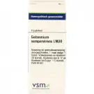 VSM Gelsemium sempervirens LM30 4 gram globuli