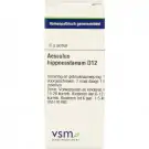 VSM Aesculus hippocastanum D12 10 gram globuli