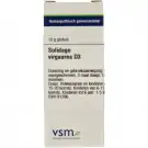 VSM Solidago virgaurea D3 10 gram globuli
