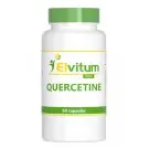 Elvitum Quercetine 500 mg 60 capsules