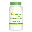 Elvitum Astragalus extract 500 mg 60 capsules