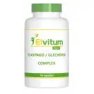 Elvitum Plantago/Glechoma complex 90 capsules
