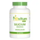 Elvitum Silicea 100 tabletten