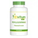 Elvitum Psylliummax vlozaadvezels 120 vcaps