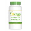 Elvitum Vitamine B12 1000 mcg + foliumzuur 270 zuigtabletten