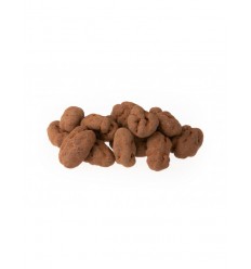 Mijnnatuurwinkel Chocolade pecan truffels 400 gram