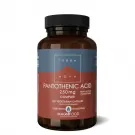 Terranova Pantothenic acid 250 mg complex 100 vcaps