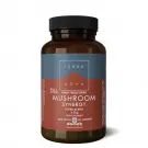Terranova Mushroom synergy super blend 40 gram