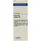 VSM Alchemilla vulgaris D6 20 ml druppels