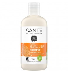 Sante Naturkosmetik Family strenght & shine shampoo 250 ml kopen
