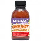 Damhert Energy shot gember 75 ml