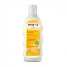 Weleda Haver herstellende shampoo 190 ml