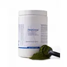 Biotics Nitrogreens 240 gram
