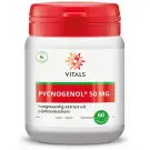 Vitals Pycnogenol 60 capsules