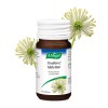 Homeopatische Geneesmiddelen A.Vogel Cinuforce 80 tabletten kopen