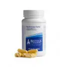 Biotics Nuclezyme Forte 90 capsules