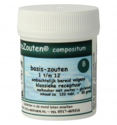 Vitazouten Compositum basis 1 t/m 12 100 tabletten