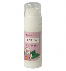 Balance Pharma CNP34 Phosphorus Constitutieplex 6 gram