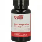 Cellcare Mucuna pruriens 60 capsules