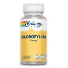 Solaray Chlorophyline 60 tabletten