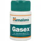 Holisan Gasex 100 tabletten