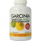 Natusor Garcinia cambogia 60% HCA vetverbrander 180 capsules