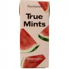 True Mints Watermelon suikervrij 13 gram