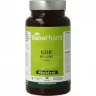 Sanopharm ijzer 10 mg wholefood 30 capsules