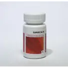 AyurVeda Health Sangicalm 120 tabletten