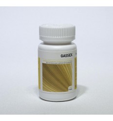AyurVeda Health Gassex 120 tabletten